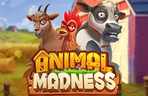 Animal Madness
