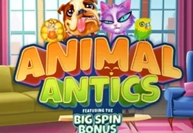 Animal Antics
