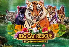 Big Cat Rescue Megaways